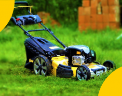 Держи свой газон чистым!