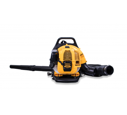 Воздуходувка Champion GBR333