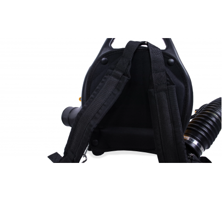 Воздуходувка Champion GBR333