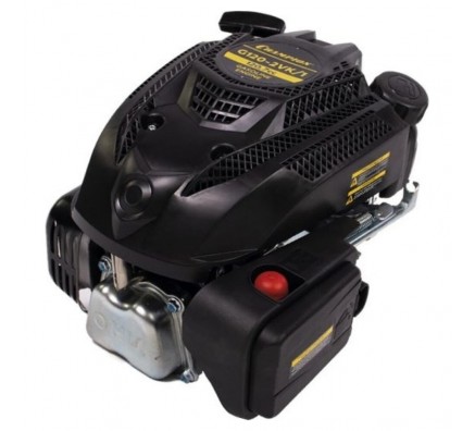 Двигатель Champion (G120-2VK/1)